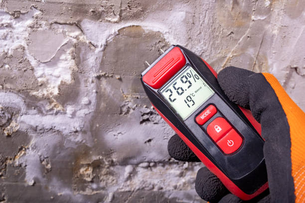 Crawl Space Mold Removal in Seymour, MO