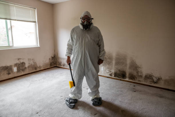 Best Emergency Mold Removal  in Seyur, MO
